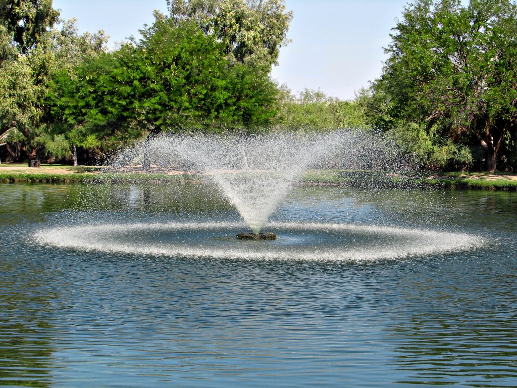 Tranquil Fountain