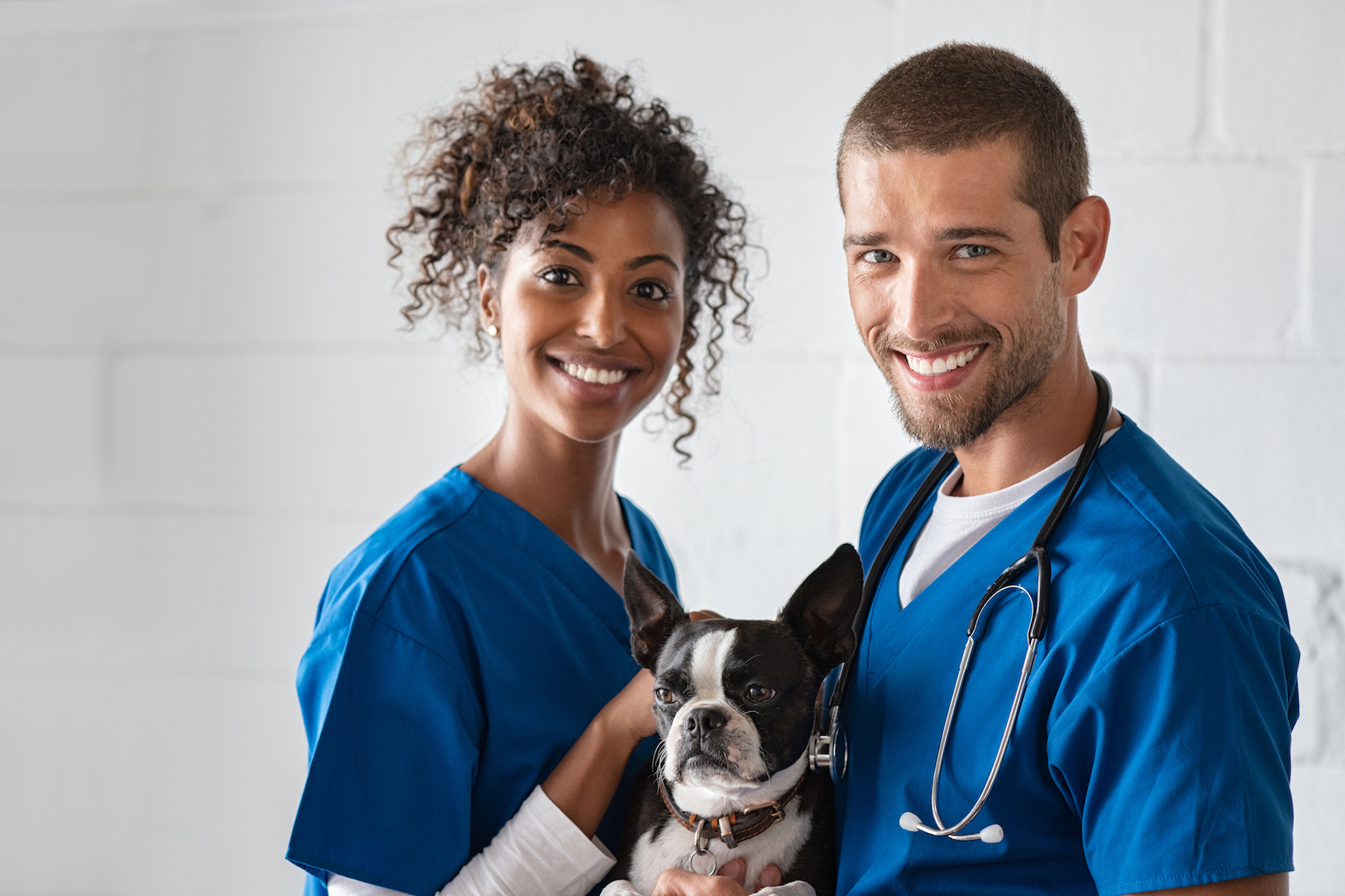 Vet and nurse holding cute dog
